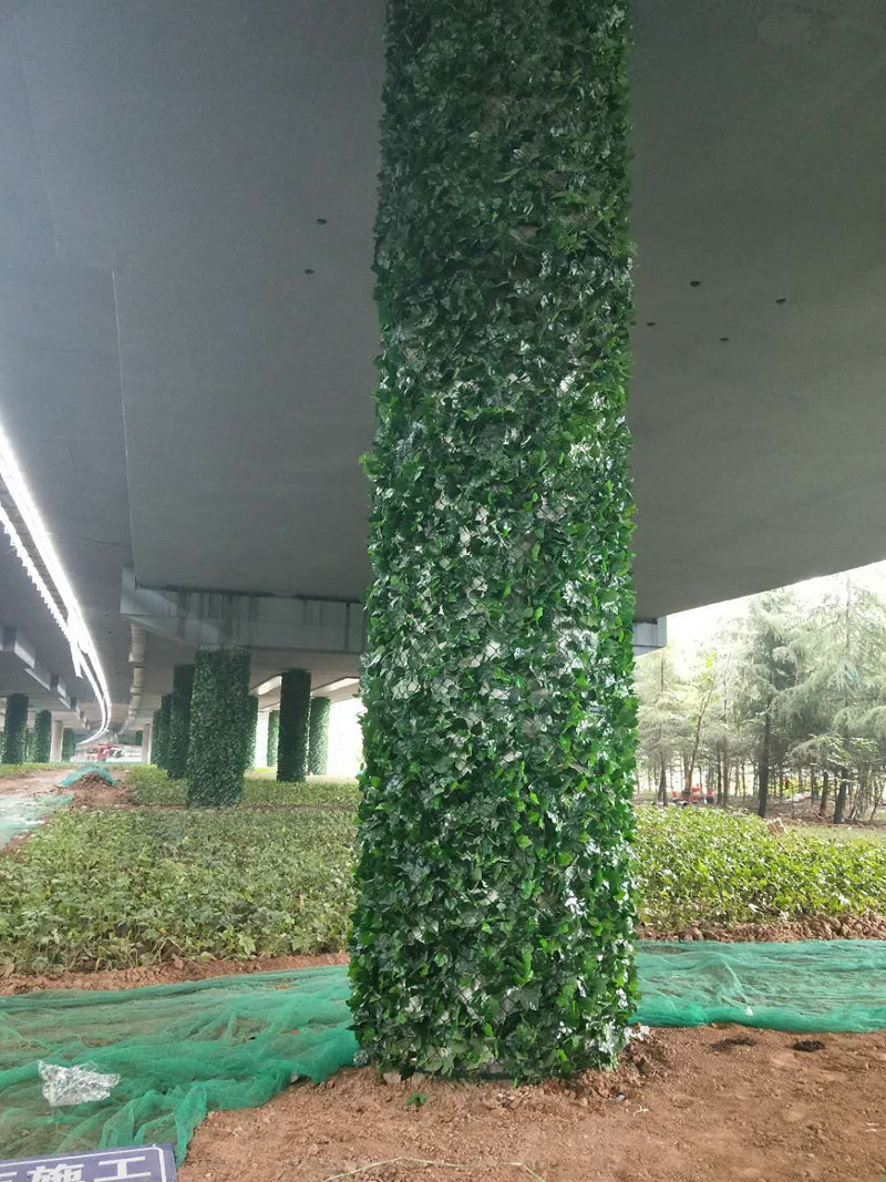 棣欑帇绔嬩氦鍨傜洿緇垮寲緗? title=